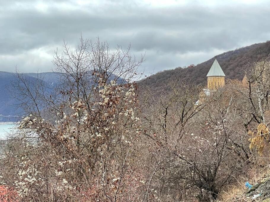 Villa ❆cozy, 4 Br. In Ananuri❆ *